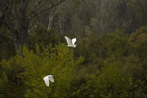 ¡Hola mundo! ¡Hola Ribera Alta del Ebro!