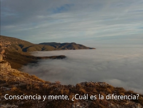 Consciencia y mente, cual es la diferencia