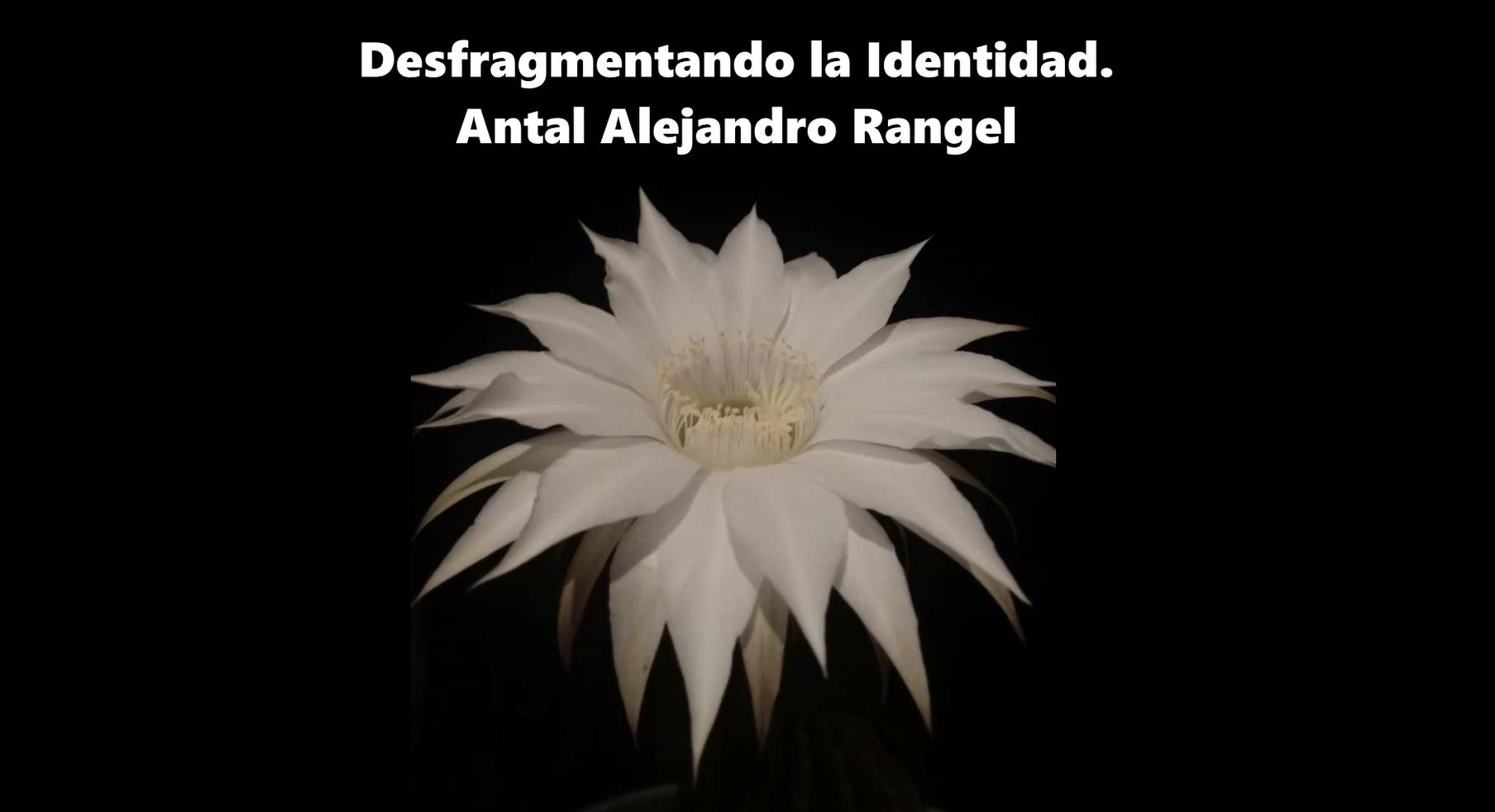 Desfragmentando la Identidad