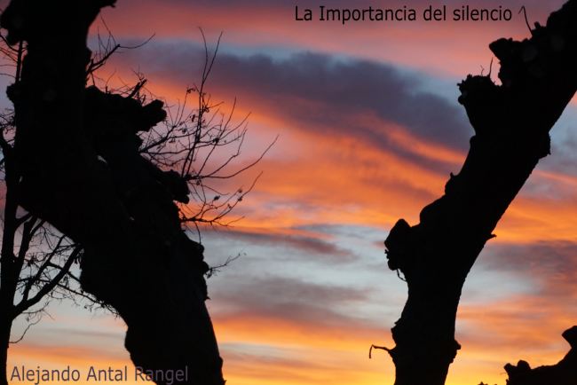 La importancia del Silencio