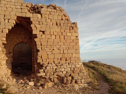 Desarrollo y Biosfera