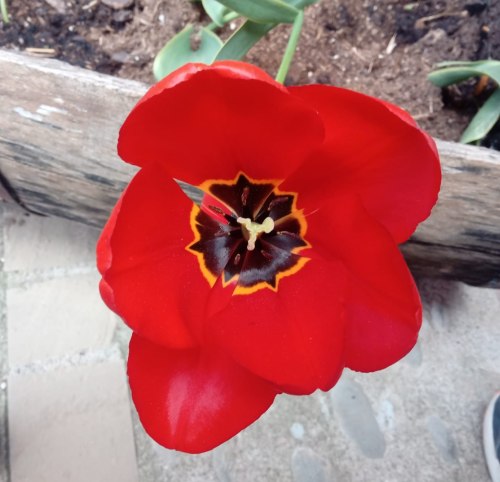 La importancia del Presente y su Puerta de entrada