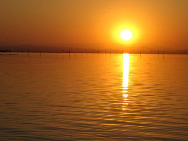 Los sentidos y la ilusión de la realidad