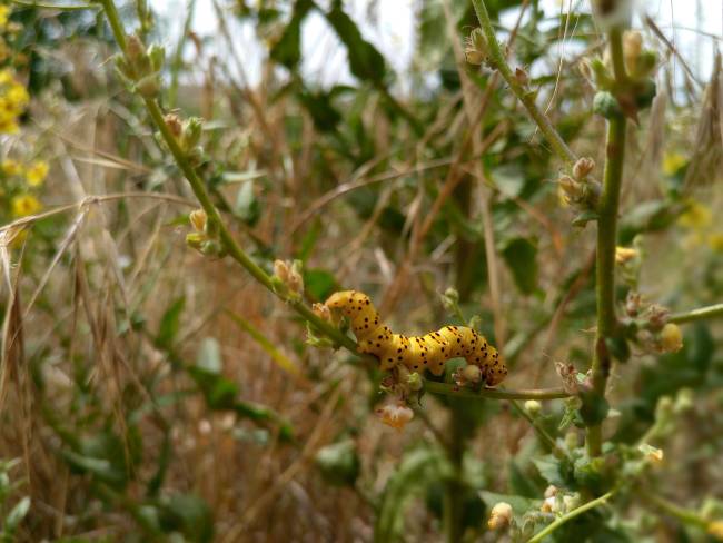 Meditación guiada II