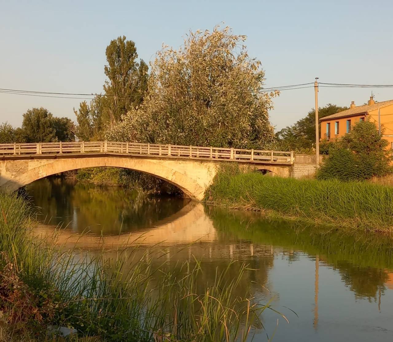Puente viejo de Pedrola