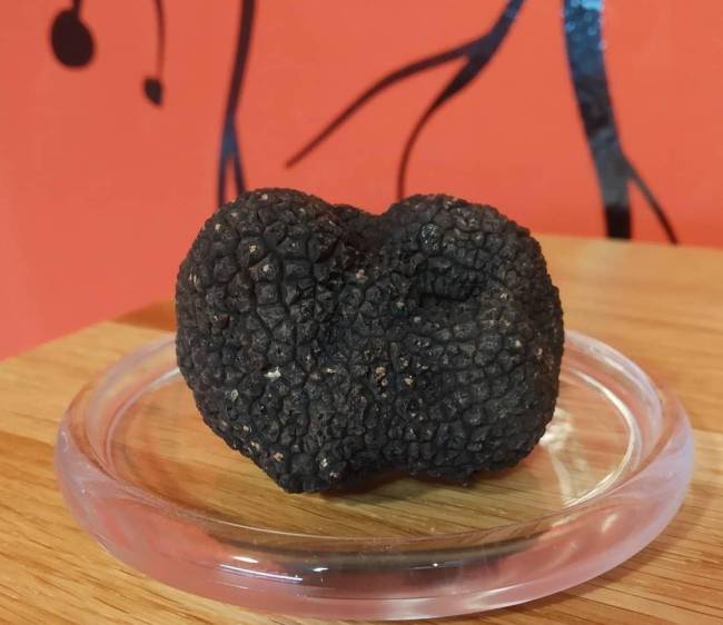 La trufa de invierno