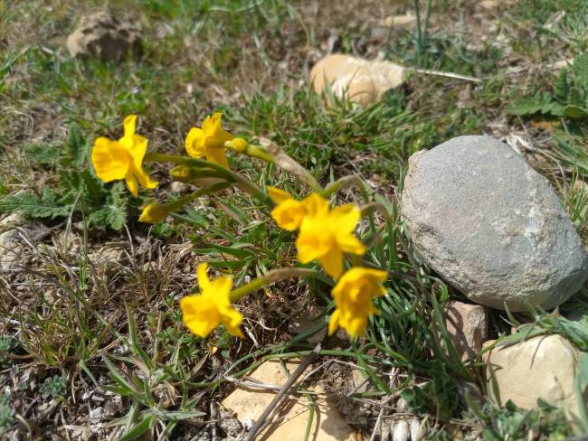 El perdón para liberar el corazón