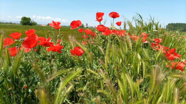 Energía femenina y masculina
