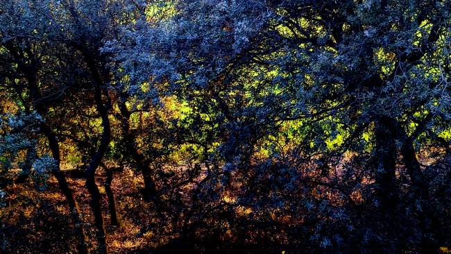 Movimiento físico para ensanchar los canales energeticos