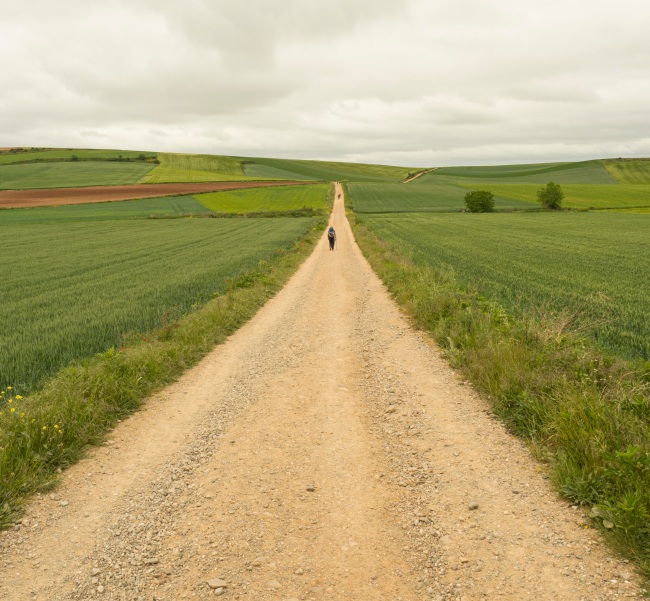 Camino Santiago