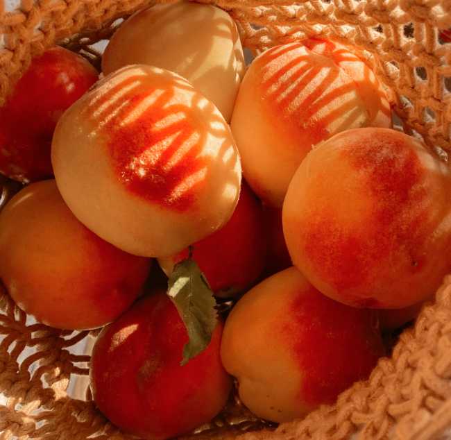 Disfruta la fruta II