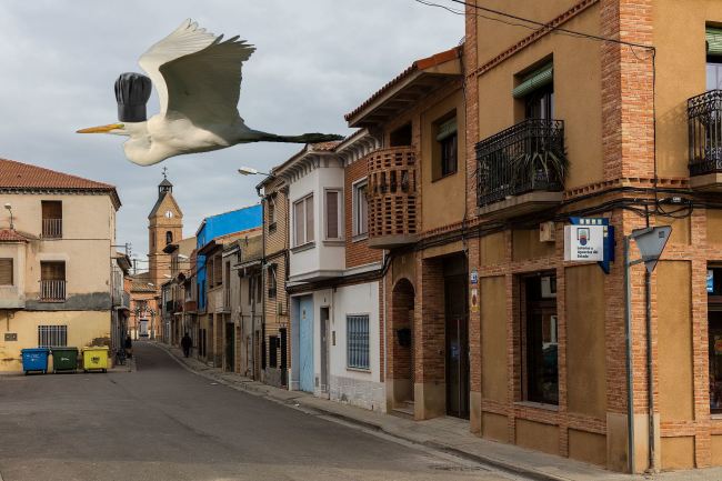 Pucheros lejanos. Aragón de cabo a rabo