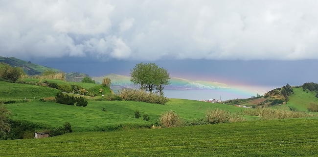 Cosicas de la Naturaleza
