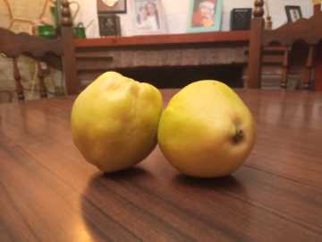 Os membrilos anunziadors de l'agüerro