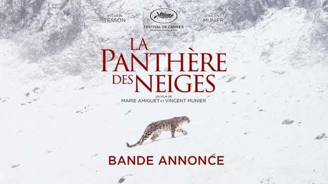 El leopardo de las nieves