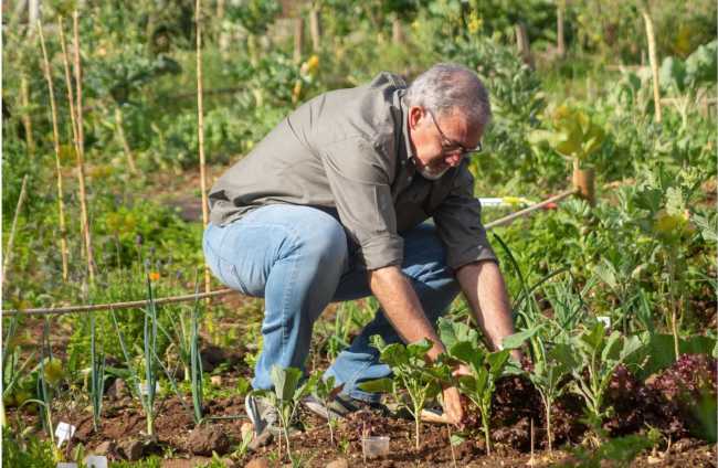 Yayos hortelanos, la despensa de la ribera