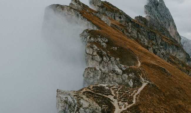 Las tumbas no tendrán flores