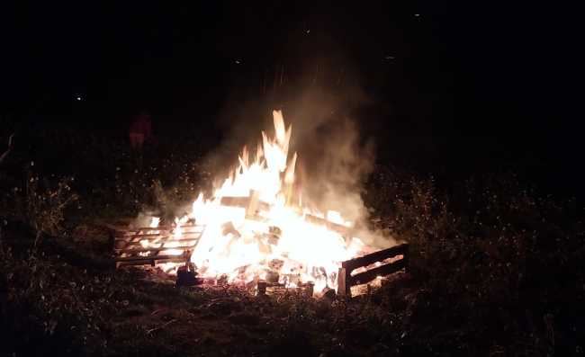 Las hogueras de san Antón