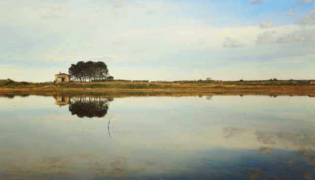 Foto de https://turismoalcolea.com/
