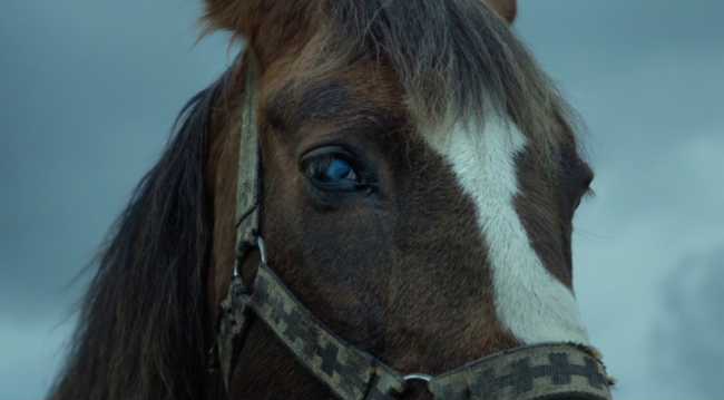 El azul: la conciencia.