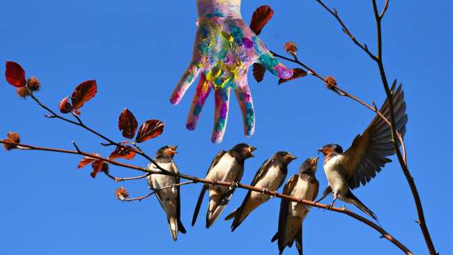 Disculpas, elecciones, margaritas y pachuchadas