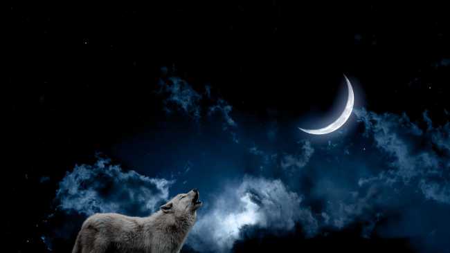 Prefiero el aullido del perro a la luna