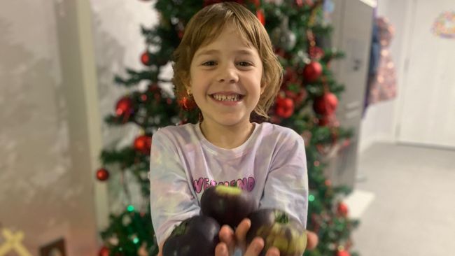 Nada es lo que parece