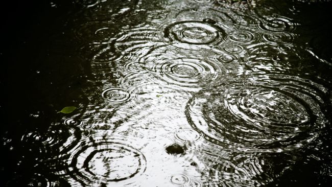 una tarde lluviosa de marzo