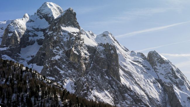 LOS DOLOMITAS, VIOLA Y LETICIA