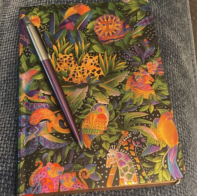 Pantalla Negra: mi apagón particular