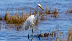 Que mos ye pasando a es umáns