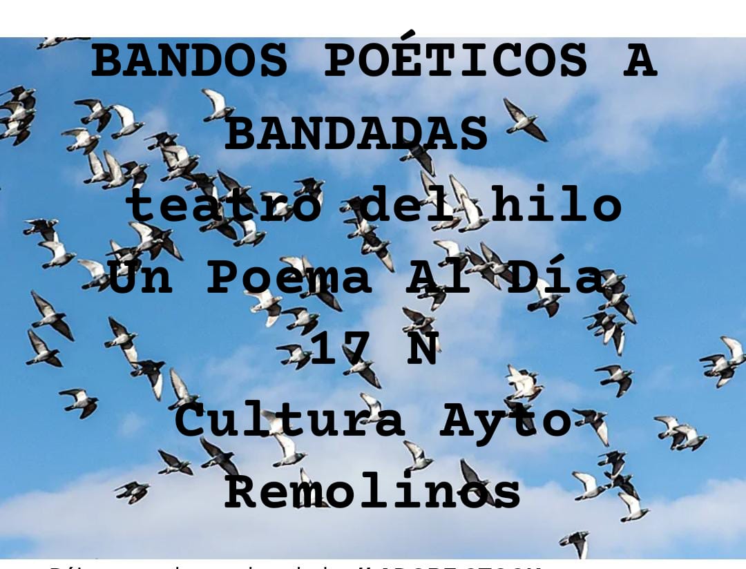 Bandos poéticos a bandadas