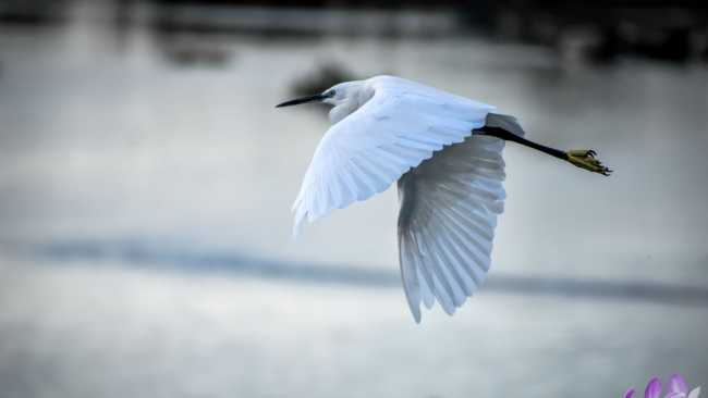 ASÍ QUE PASEN CINCO AÑOS