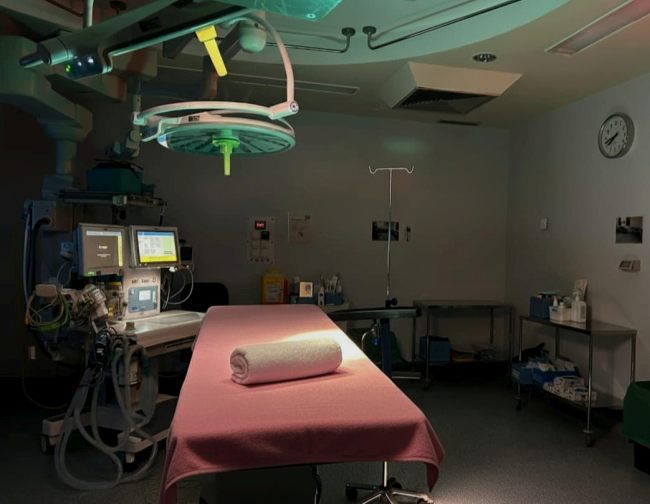 La caricatura del recuerdo