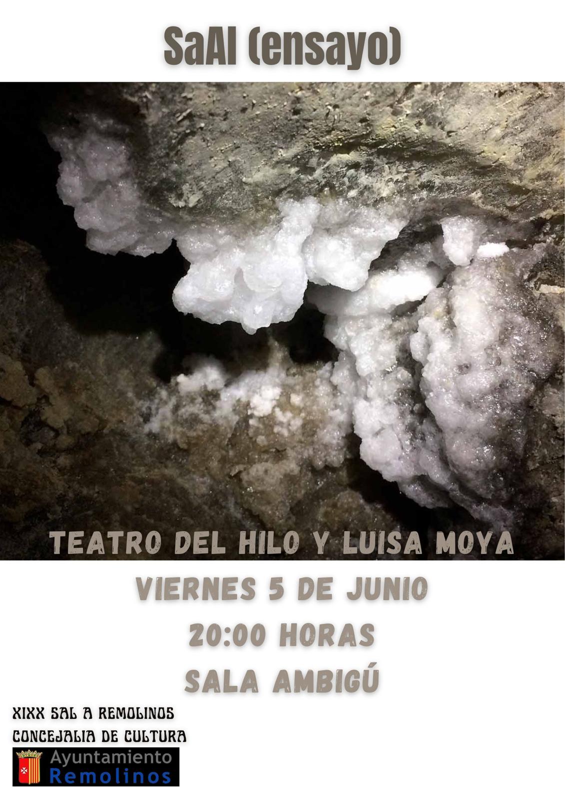 SaAl (ensayo)
